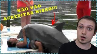 7 fatos BIZARROS sobre os GOLFINHOS [upl. by Dimond206]