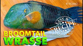 Broomtail Wrasse  Clean Fillet amp Cook [upl. by Tnecniv]