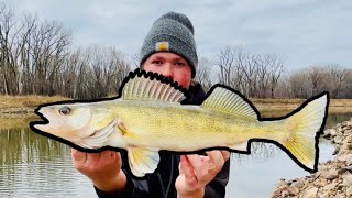 WALLEYE FISHING MINNESOTA RIVER 2023 [upl. by Noyerb]