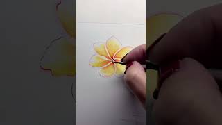 Watercolour Frangipani Painting shorts watercolor painting botanical [upl. by Kihtrak158]