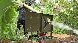 Cutting Giant Banana Trees to Feed Thousands of Fish [upl. by Graeme]