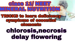 TRICKS to learn deficiency symptoms of essential elements chlorosis necrosisdelay floweringNEET [upl. by Innus]