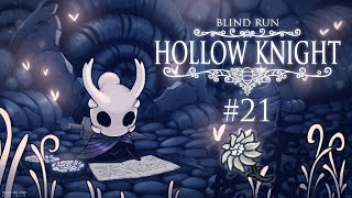 Fiore  Hollow Knight Blind Run 21 w Cydonia [upl. by Radford]