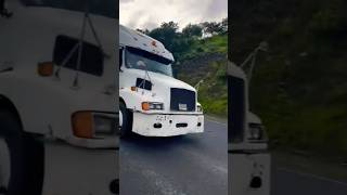 STOUT STEED fyp viral viralvideo viralshorts trending trendingshorts trendingvideo truck [upl. by Acissej]