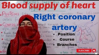 Blood supply of heart  Right coronary artery of heart  Heart anatomy  ayesha medical education [upl. by Idzik964]