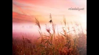 Background Music Instrumentals relaxdaily B Sides N°1 [upl. by Hedvige]