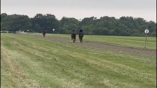 Chindwin far side working in Newmarket on Saturday [upl. by Guinevere]