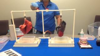 Simulated Smokers Lungs Demonstration [upl. by Ylurt]