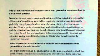 membrane potential and permeability [upl. by Goodspeed]