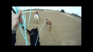 Team Roping at the Rockin M Ranch  December 2012 [upl. by Jenkel]