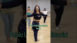 UNDULATE Your Pelvis Part 2 HOW DID YOU DO bellydance bellydancer dance [upl. by Clercq]