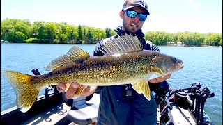 Deadly Early Summer Walleye Lure [upl. by Lattimer]