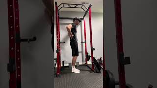 Hanging Knee Raise [upl. by Fauver]