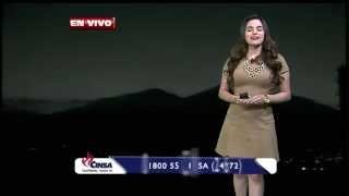 Fannia Lozano y el Clima Info7 Matutino 20Nov2014 0630 AM Full HD [upl. by Sirromaj]