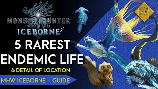 5 RAREST ENDEMIC LIFE INCLUDE TROPHY amp DETAIL OF LOCATION  MHW ICEBORNE GUIDE [upl. by Shererd488]