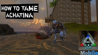 How To Tame Achatina ARK Mobile S1E01 [upl. by Jutta]