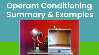 Operant Conditioning In Psychology BF Skinner Theory [upl. by Snodgrass889]