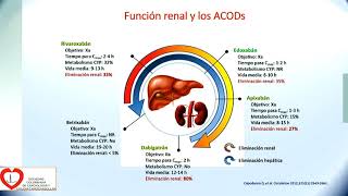 28 Anticoagulación en Fibrilación Auricular con DOACs Indicaciones Actuales Dr Osman Alberto Pe [upl. by Nois]