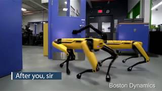 Boston Dynamics Spot Mini Update  Teamwork [upl. by Bagger]