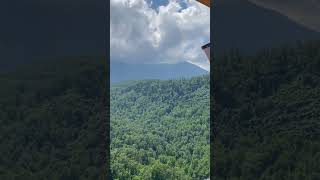 Anakeesta Tennessee mountains 🏔️ tennessee roadtrip [upl. by Skoorb]