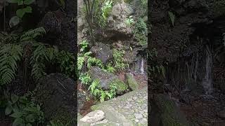 parque nacional de Uruapan andadores [upl. by Rubina]