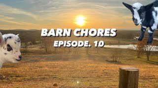 A DAY IN THE LIFE OF CHORES Barn Chores EP10 [upl. by Glynda986]