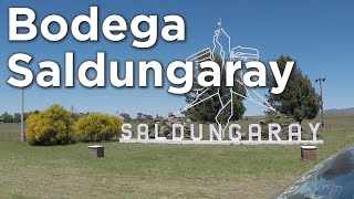 Bodega Saldungaray cerca de Sierra de la Ventana  Ruta0com [upl. by Aicenev]