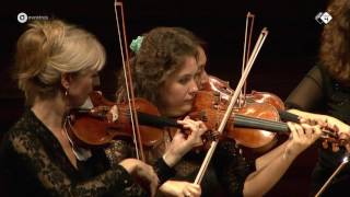 SaintSaëns Havanaise Op 83  Concertgebouw Chamber Orchestra  Live concert HD [upl. by Yrek]