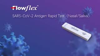 English Flowflex SARSCoV2 Antigen Rapid Test NasalSaliva [upl. by Felice]