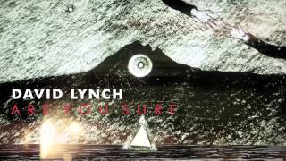 David Lynch Are You Sure OFFICIAL AUDIO [upl. by Zhang]