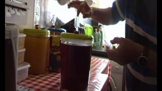 FullBodied Red Wine from Grape Juice Drinkable in 3 Weeks [upl. by Yelmene]