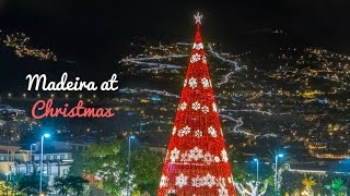 Madeira Christmas Lights [upl. by Lorraine]