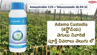 Adama Custodia అడామా కస్టోడియా Fungicide in Telugu  Software Engineer Farming [upl. by Eybbob]