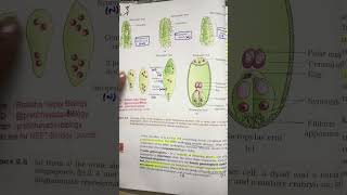 NEET BIOLOGY MCQ Practice for NEET 2024 NCERTlines study neet bio trending neetpyq mbbs [upl. by Seabrook]