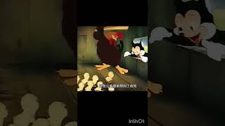 Funny hen funnyshorts funny comedy 🤣😂😀😃🐣🐓 [upl. by Ikram]