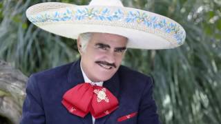 LAS MAÑANITAS VICENTE FERNANDEZ [upl. by Haran]