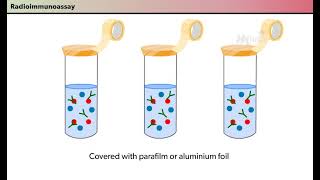 Immunological Techniques RIA [upl. by Oric]