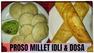 Proso millet idli dosa batter without rice  Pani varagu idli  Millet recipes  Millet idli batter [upl. by Amelus]