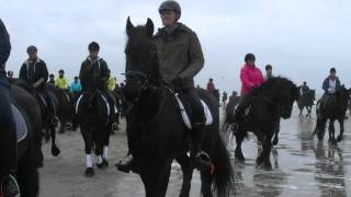 330 Friese paarden op het strand Callantsoog [upl. by Eggleston]