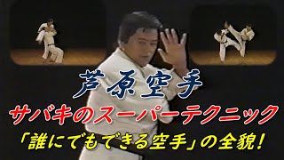 芦原英幸 「極真」から「誰にでもできる空手」を体現！芦原空手はサバキにあり！ Karate Ashihara Kyokushin Seido Enshin Shintaiikudo [upl. by Eet726]