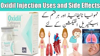 Oxidil Injection 250 mg Uses and side effects in Urdu Hindi Ceftriaxone 250 mg Injection benefits [upl. by Eahcim]