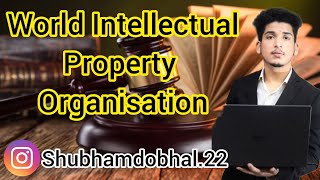 World Intellectual Property Organisation 🎓🎓Lawkaksha wipo [upl. by Kristen]