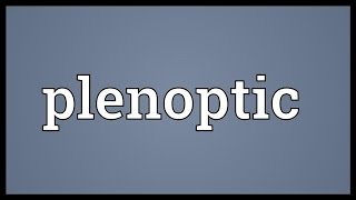 Plenoptic Meaning [upl. by Bronnie]