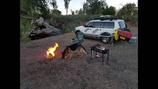 A night at Lake Wivenhoe  Solo Camping [upl. by Atnomed196]