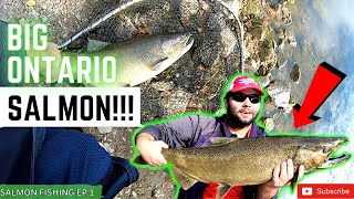 Catching HUGE KING SALMON in Ontario Float Fishing with SKEIN [upl. by Pell]