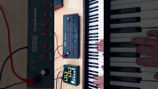 How does the Behringer Solina sound 🎹behringer synth shorts [upl. by Spenser908]