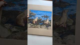 Turning the seals of La Jolla into a colored pencil drawing✍️✨🦭 [upl. by Tuck489]