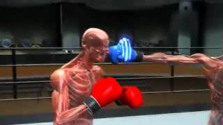 Speed Boxing Punch [upl. by Cherida]