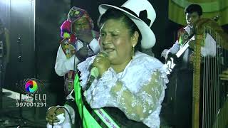 CONDEMAYTA DE ACOMAYO  MIX DE HUAYNOS EN VIVO [upl. by Loraine]