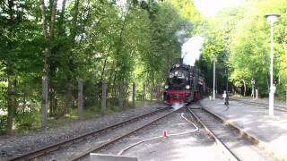 Schweizer Mallet 105 und Pfiffi 99 6101 im Selketal 125 Jahre Selketalbahn HD [upl. by Noak]